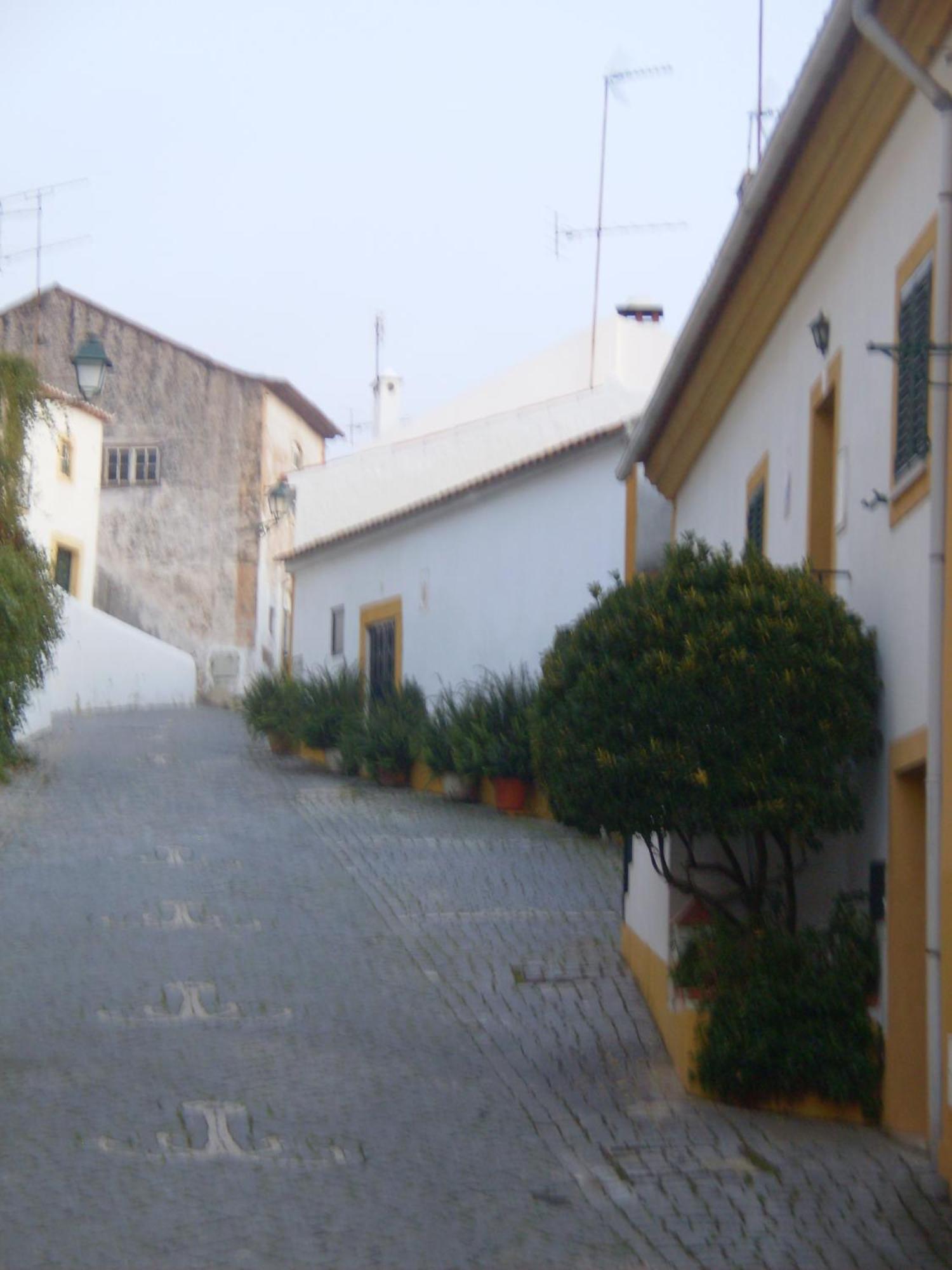 Casa Joao Chagas Guesthouse, Constancia, By Viva A Vida - Alojamentos E Hotels Eksteriør bilde